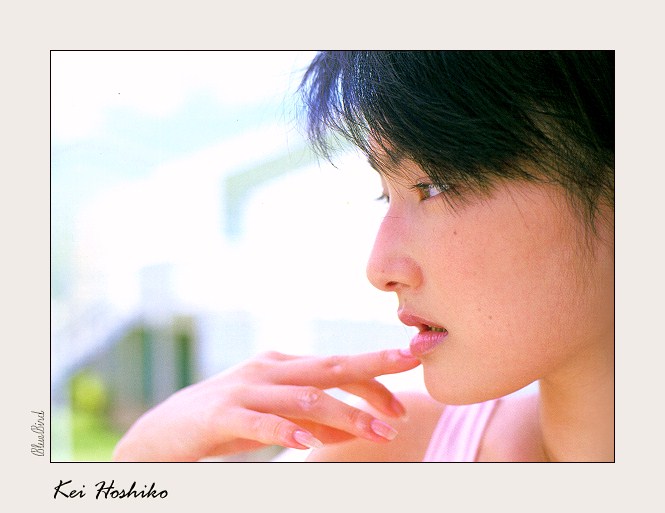 keiho201.jpg